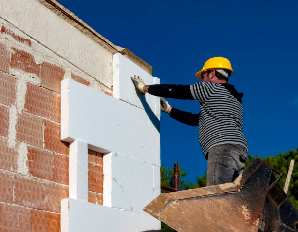 Best Specialized Insulation Services in Wilmington Manor, DE