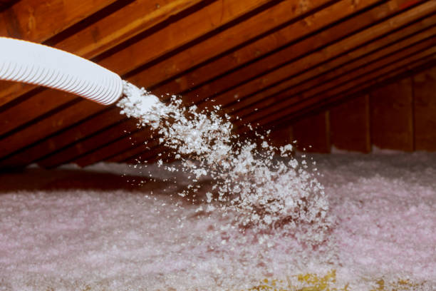 Best Insulation for Specific Applications in Wilmington Manor, DE