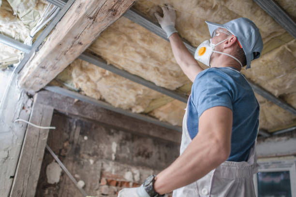 Best Geographic-Specific Insulation Services in Wilmington Manor, DE