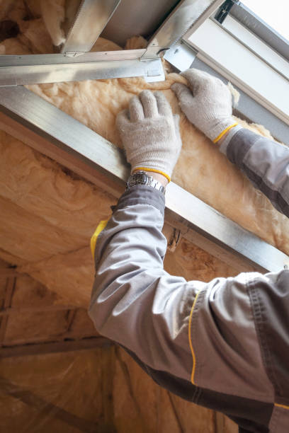 Best Cellulose Insulation in Wilmington Manor, DE